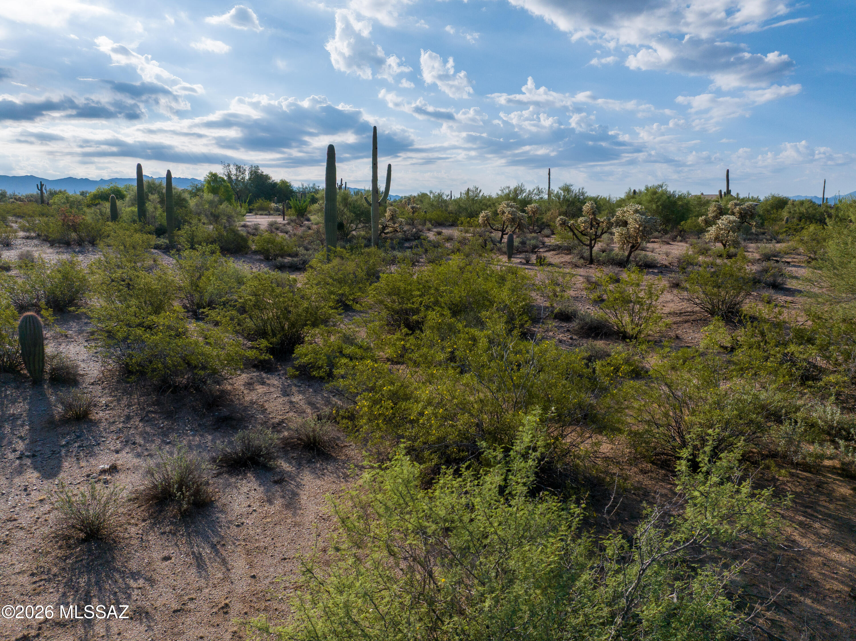 34-xxx South Davis Ranch Road, Unit Q & R Marana, AZ 85658 - Photo 14 of 15 Serene Desert Setting