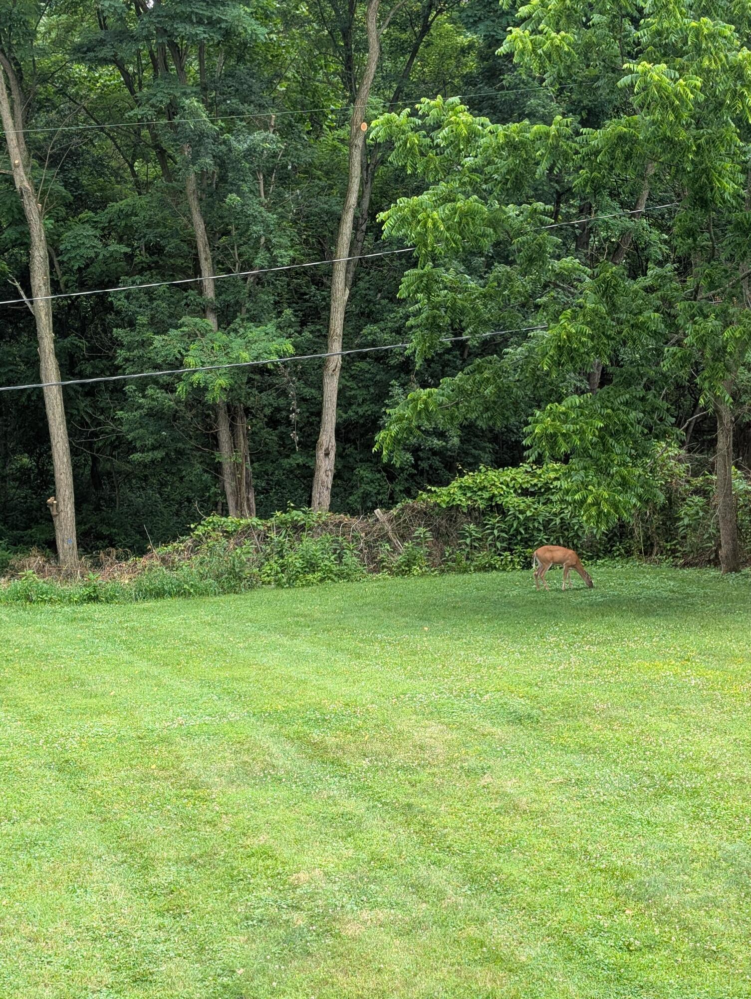 632 Mondhank Road Northeast Lancaster, OH 43130 - Photo 22 of 23