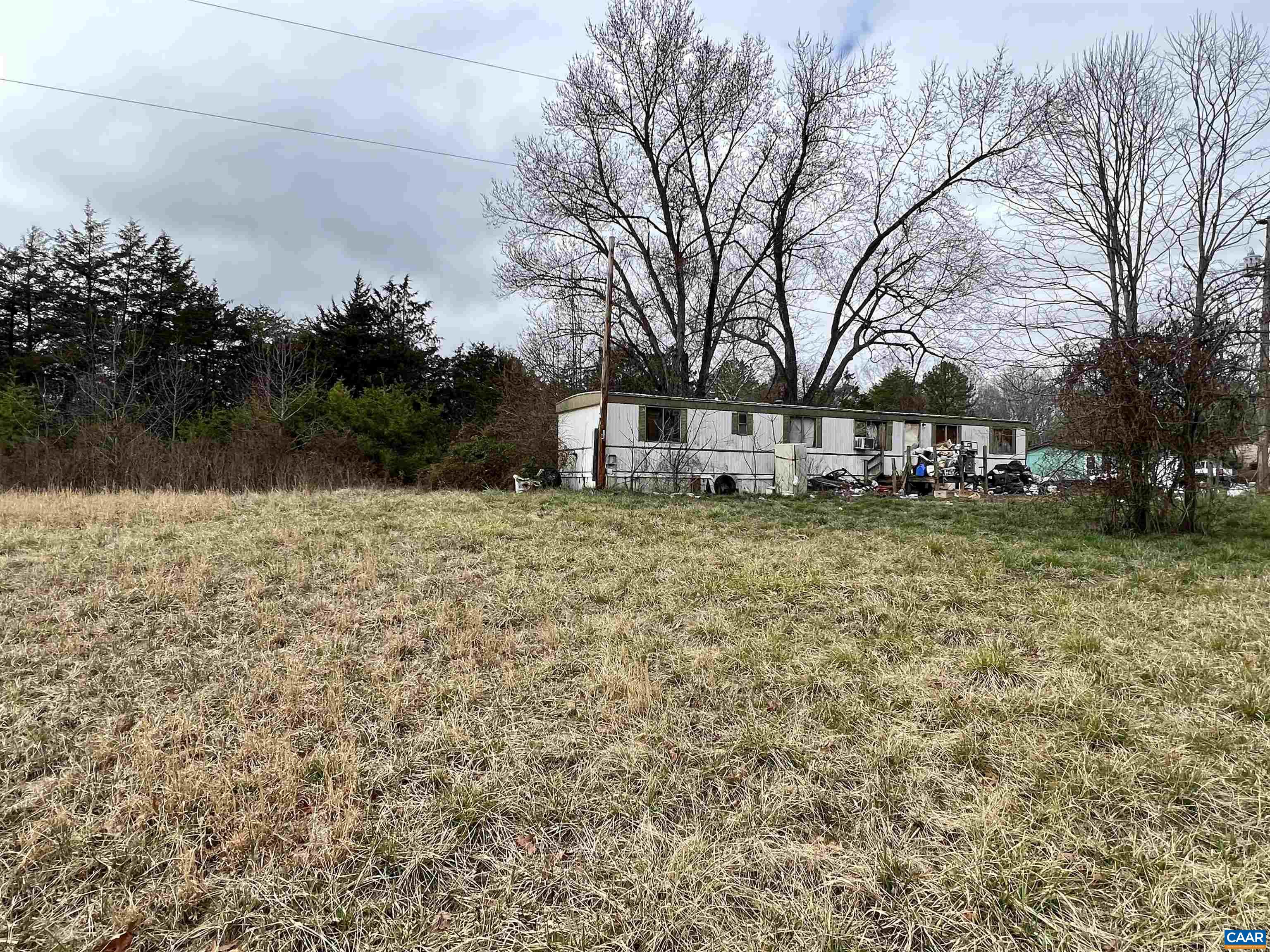 1333 Dunnes Shop Road Ruckersville, VA 22968 - Photo 1 of 7 a view of a yard with a tree