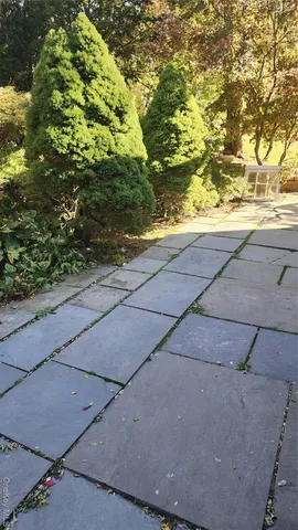 a view of a yard with an tree and wooden fence