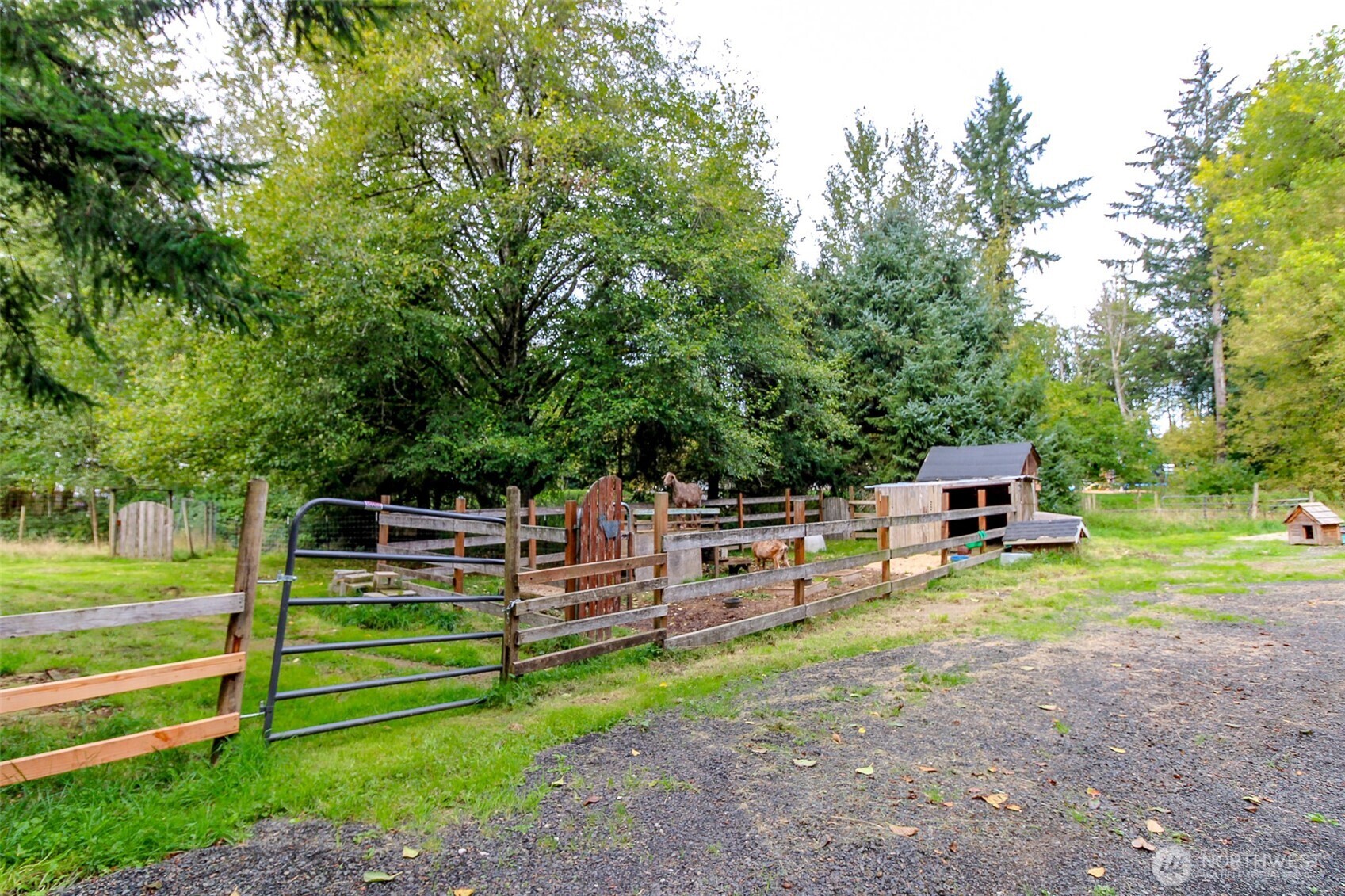 2924 Sapp Road Southwest Tumwater, WA 98512 - Photo 5 of 35 Gallery Image 5