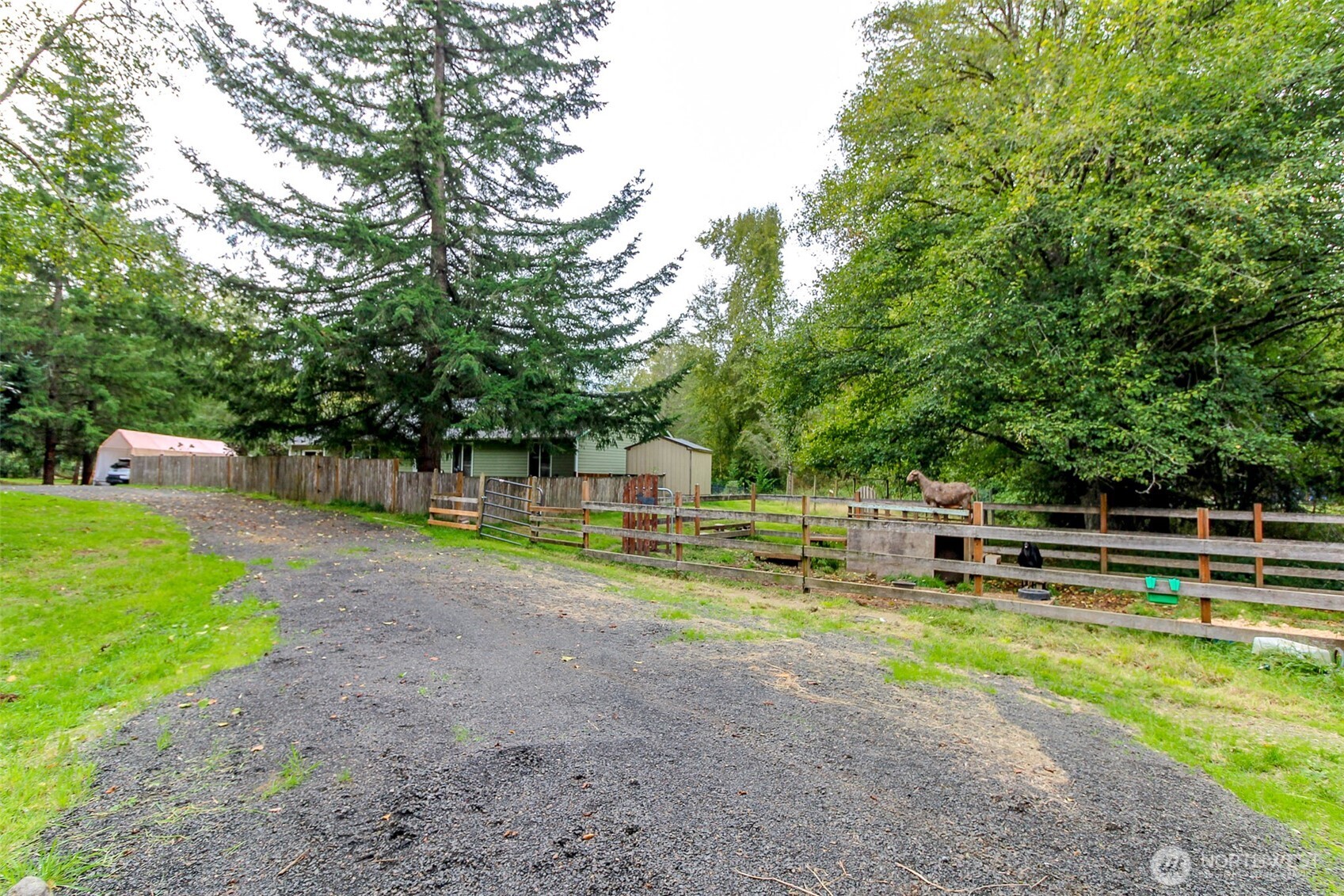 2924 Sapp Road Southwest Tumwater, WA 98512 - Photo 6 of 35 Gallery Image 6