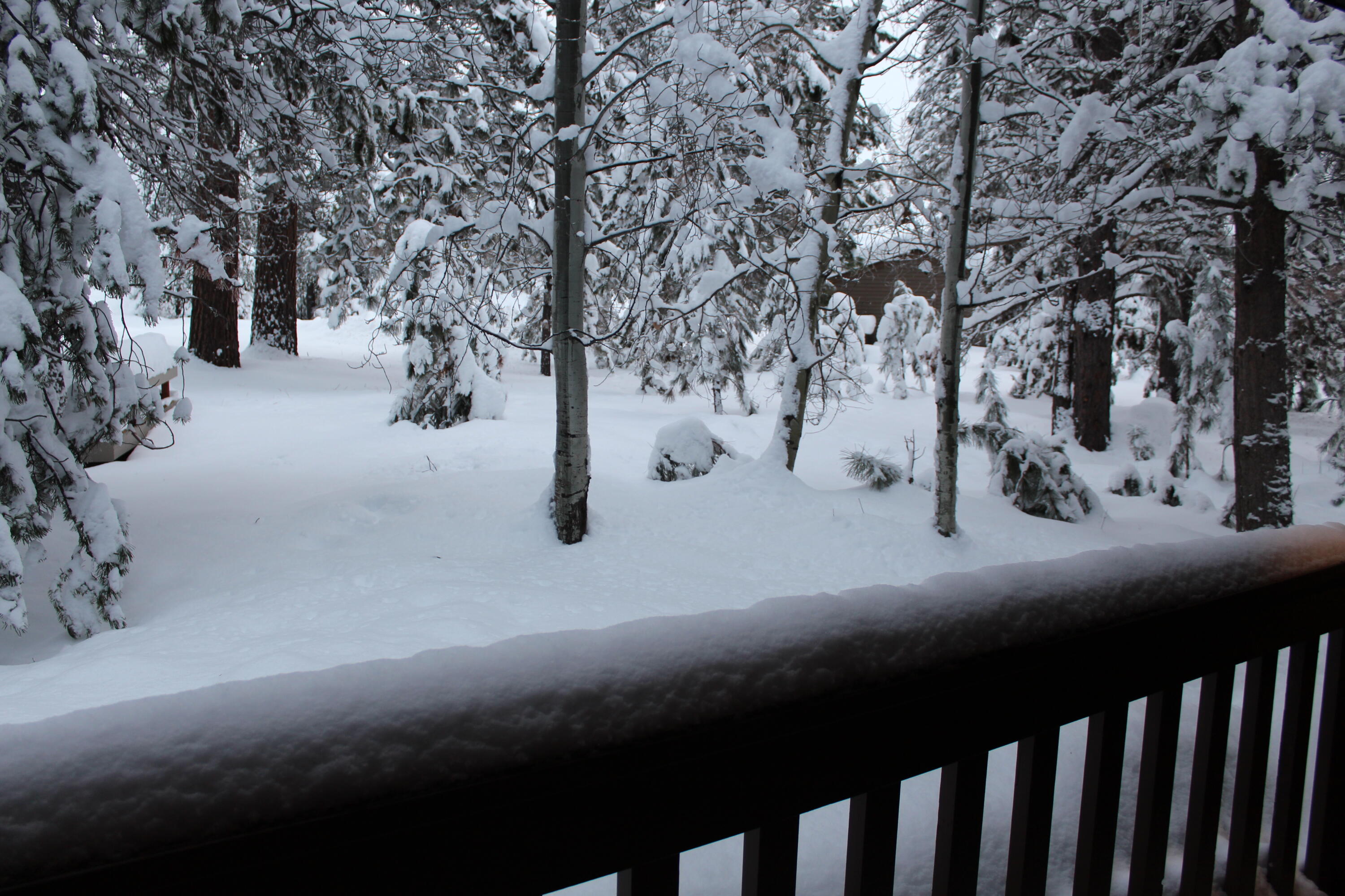 57393 Beaver Ridge Loop, Unit 39B1 Sunriver, OR 97707 - Photo 13 of 13 21-deck-R39aJPG