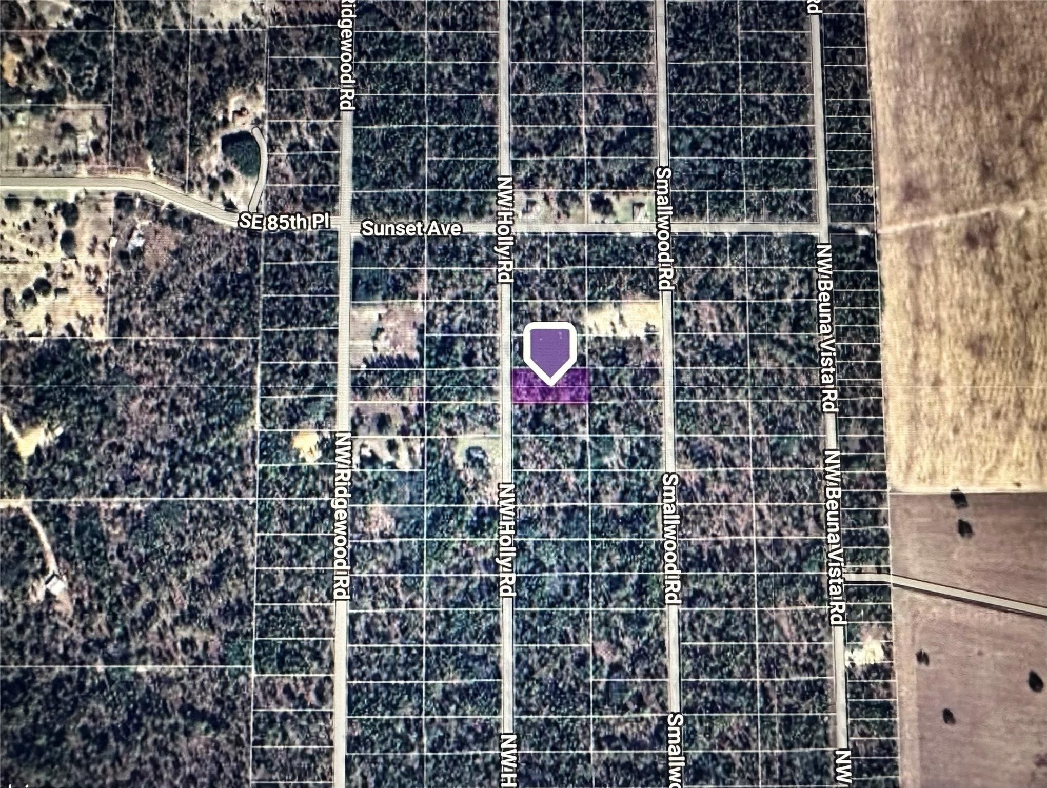 Tbd Northwest Holly Road Dunnellon, FL 34431 - Photo 2 of 4 Photo 2