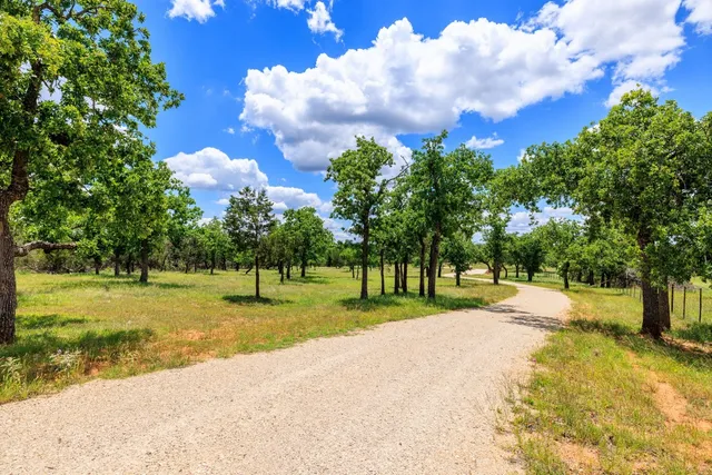 a park with lots of trees in the background