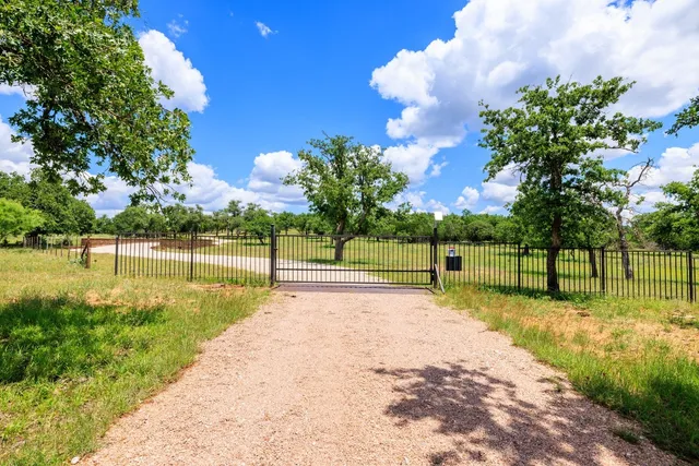 a view of a park with large trees