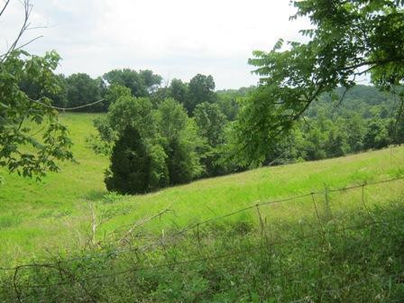 1354 Birdie Road Lawrenceburg, KY 40342 - Photo 30 of 55 Photo 30