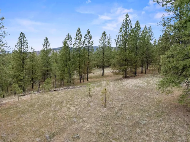 $1,299,000 | Xx Regina Lane, Spokane, WA 99208