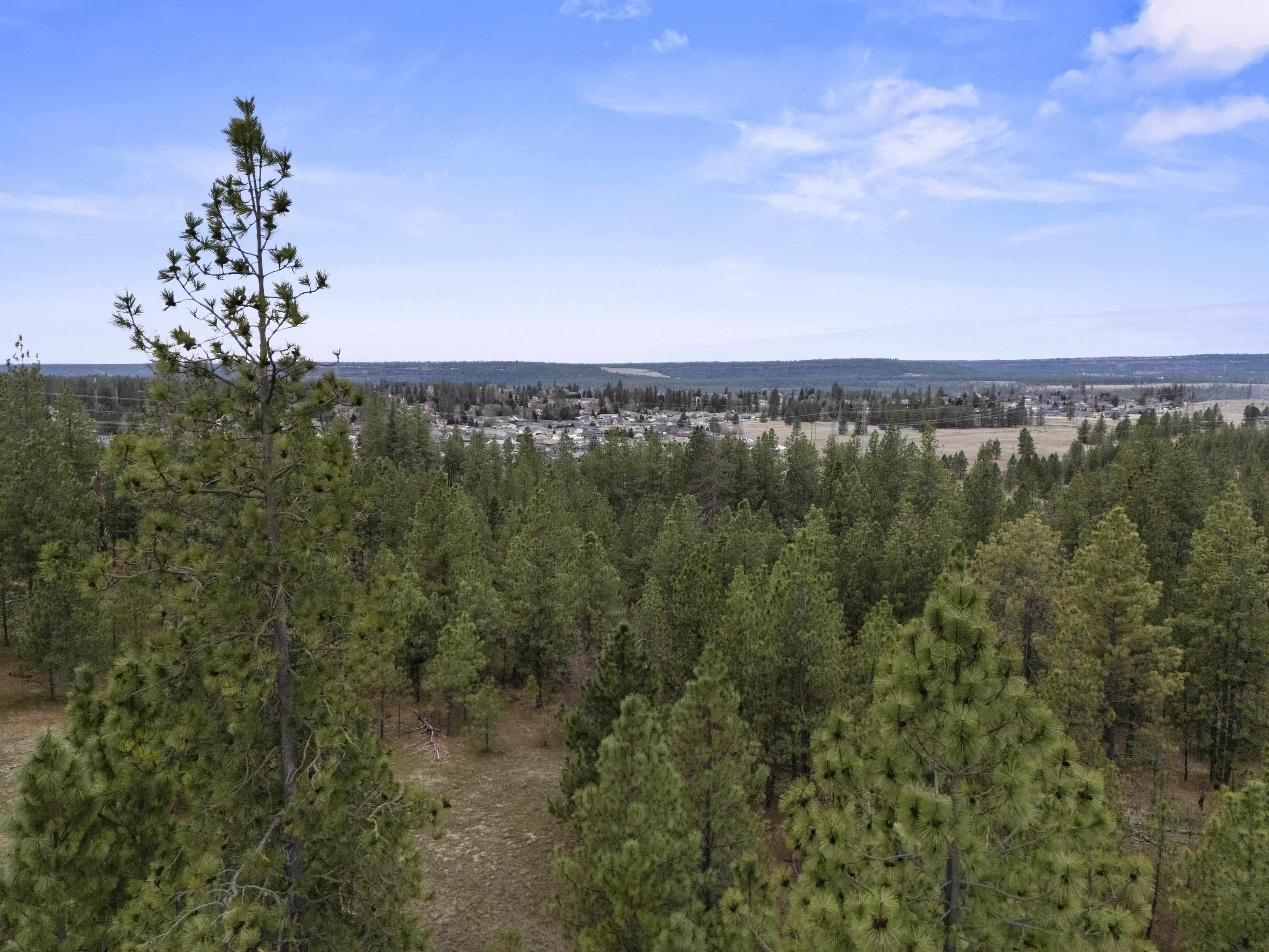 Xx Regina Lane Spokane, WA 99208 - Photo 15 of 35