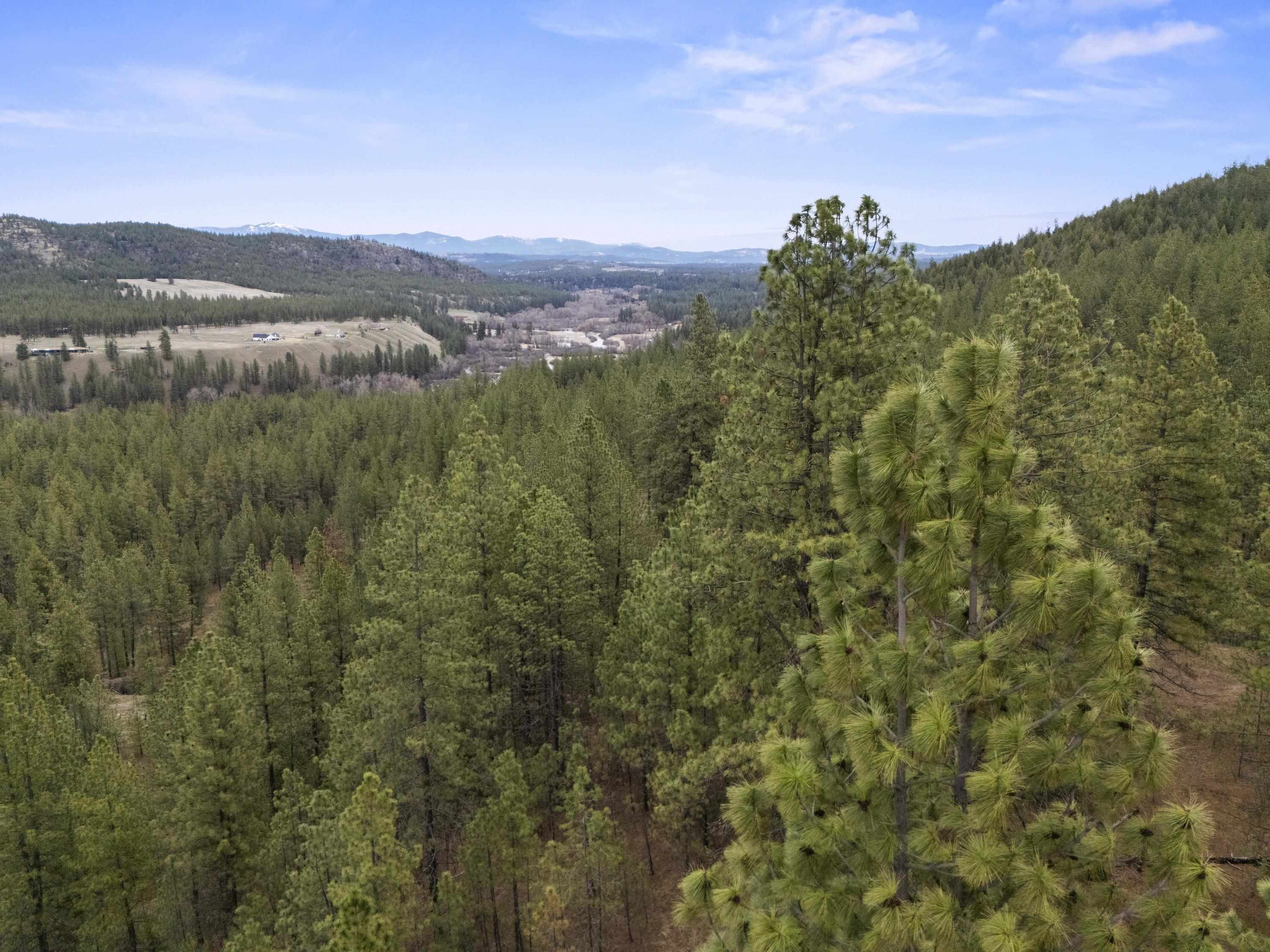 Xx Regina Lane Spokane, WA 99208 - Photo 18 of 35