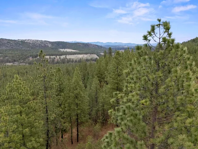 $1,299,000 | Xx Regina Lane, Spokane, WA 99208