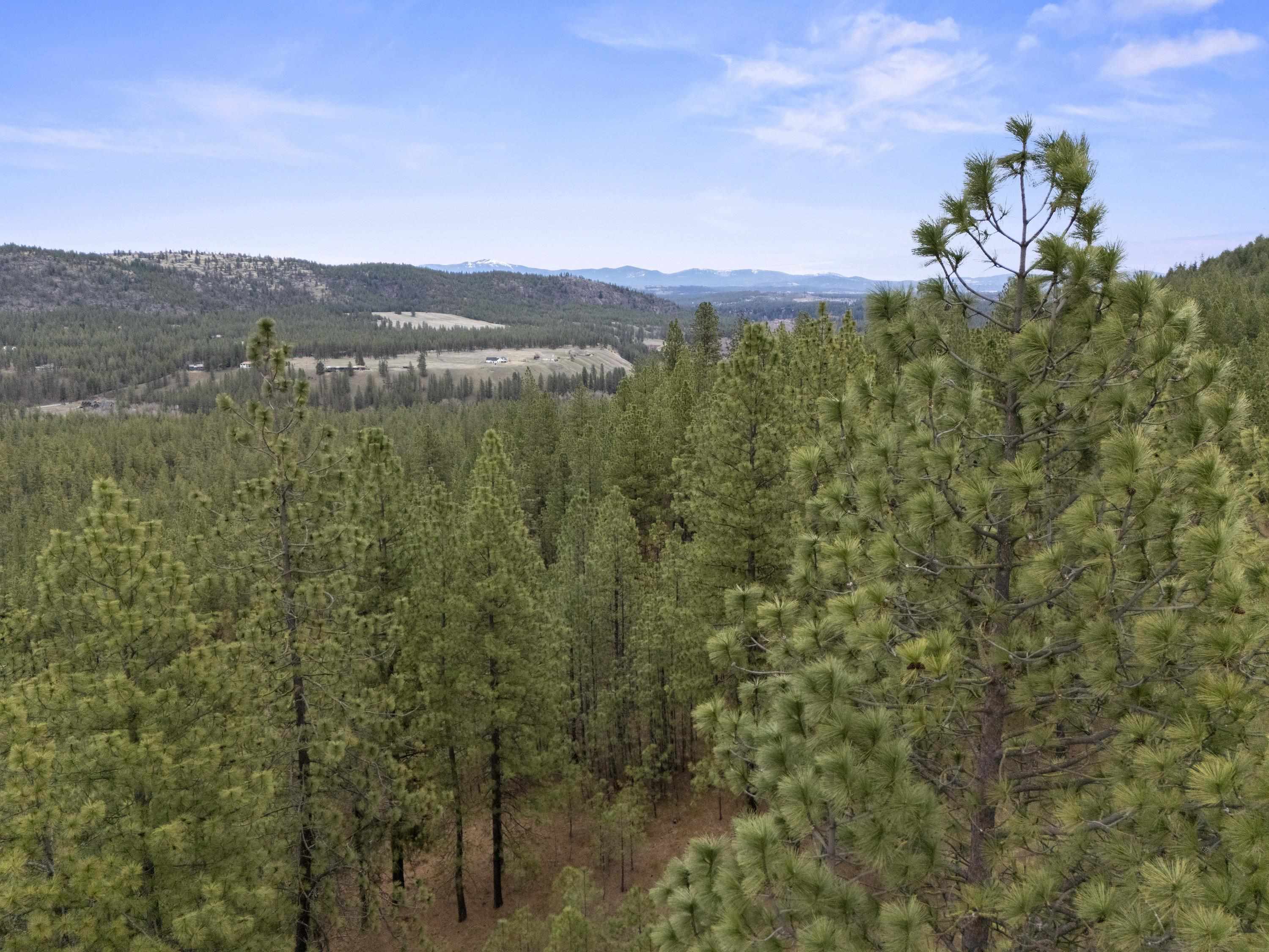 Xx Regina Lane Spokane, WA 99208 - Photo 20 of 35