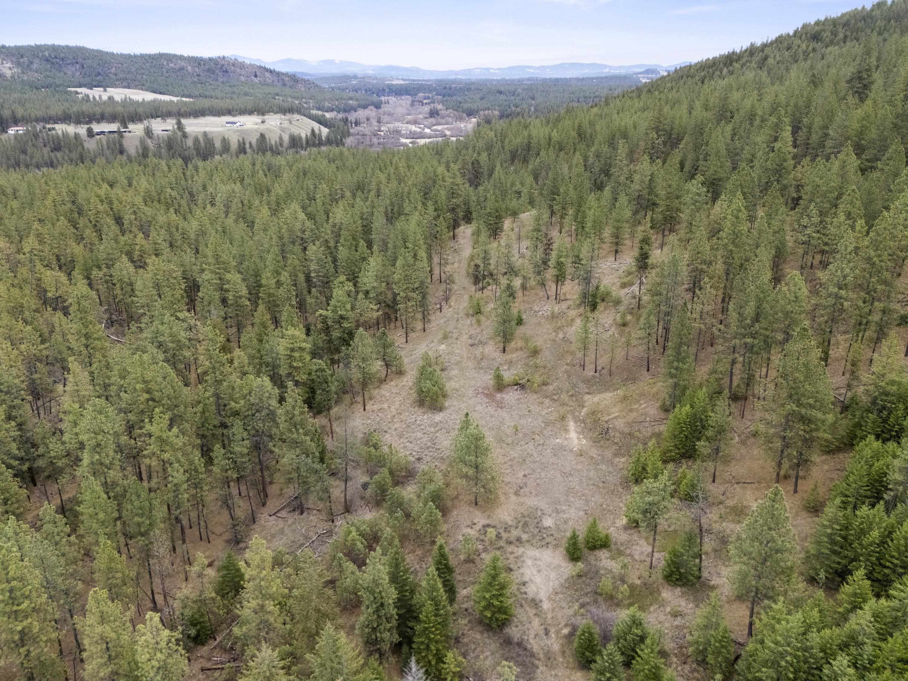 Xx Regina Lane Spokane, WA 99208 - Photo 22 of 35