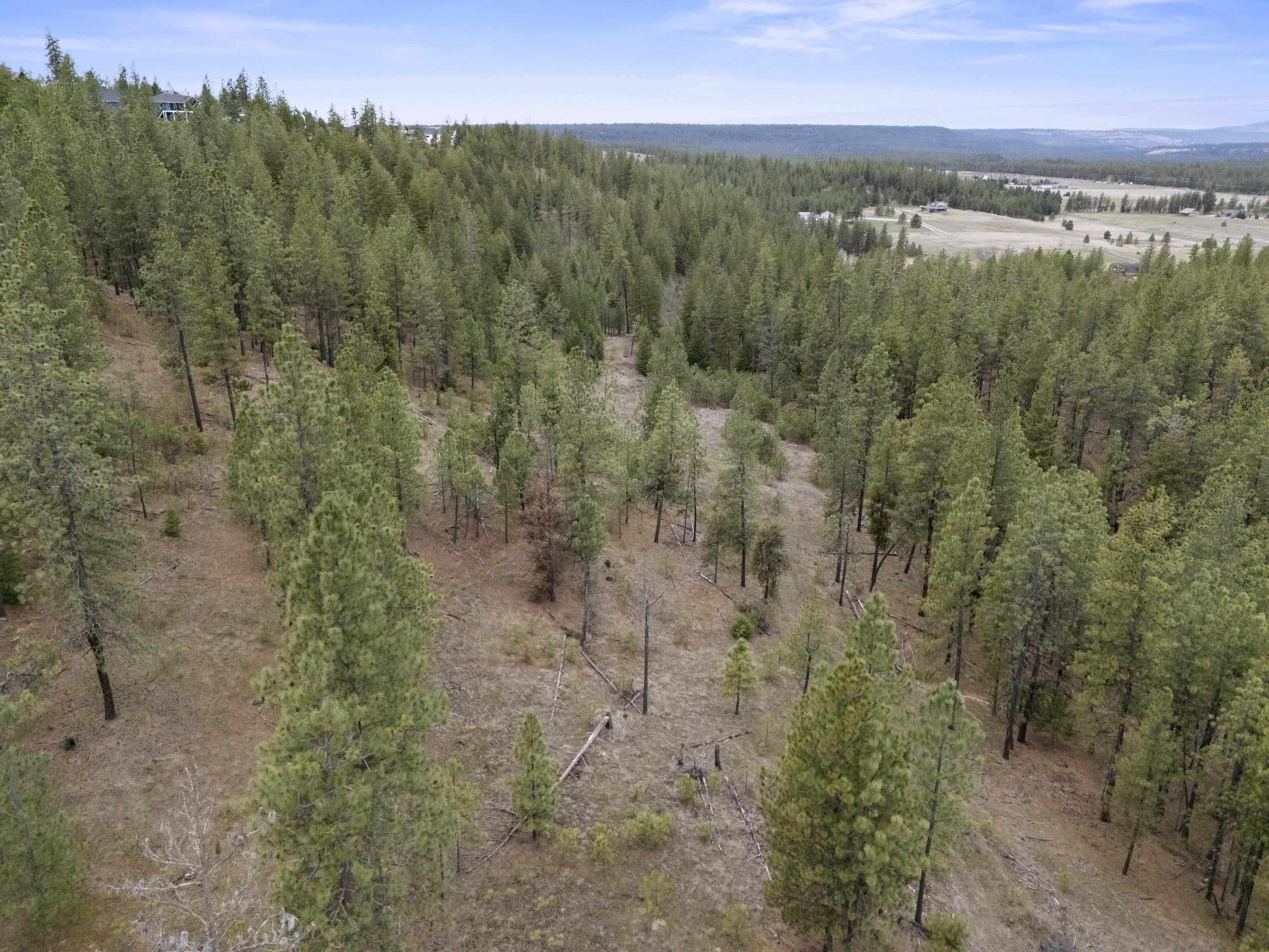 Xx Regina Lane Spokane, WA 99208 - Photo 23 of 35