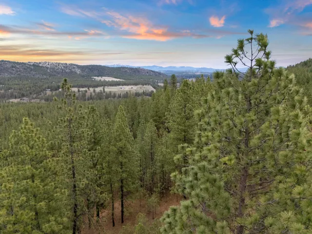 $1,299,000 | Xx Regina Lane, Spokane, WA 99208