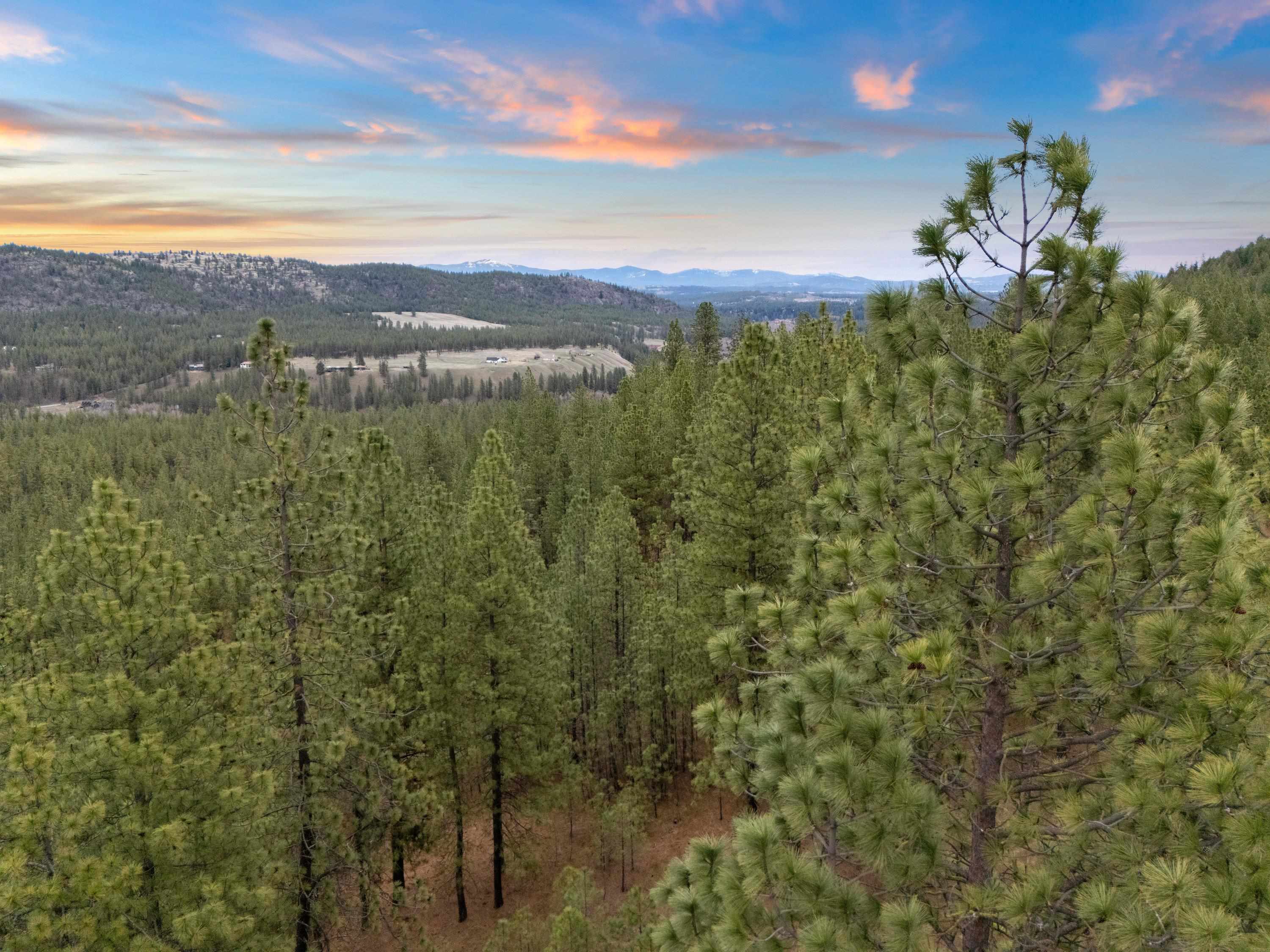 Xx Regina Lane Spokane, WA 99208 - Photo 6 of 35