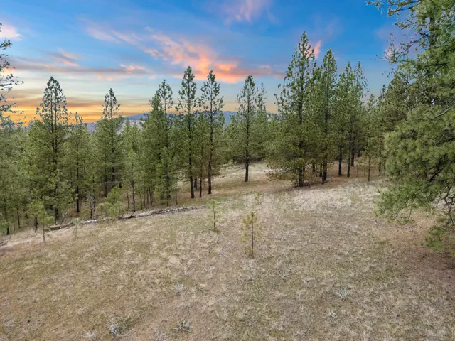 $1,299,000 | Xx Regina Lane, Spokane, WA 99208