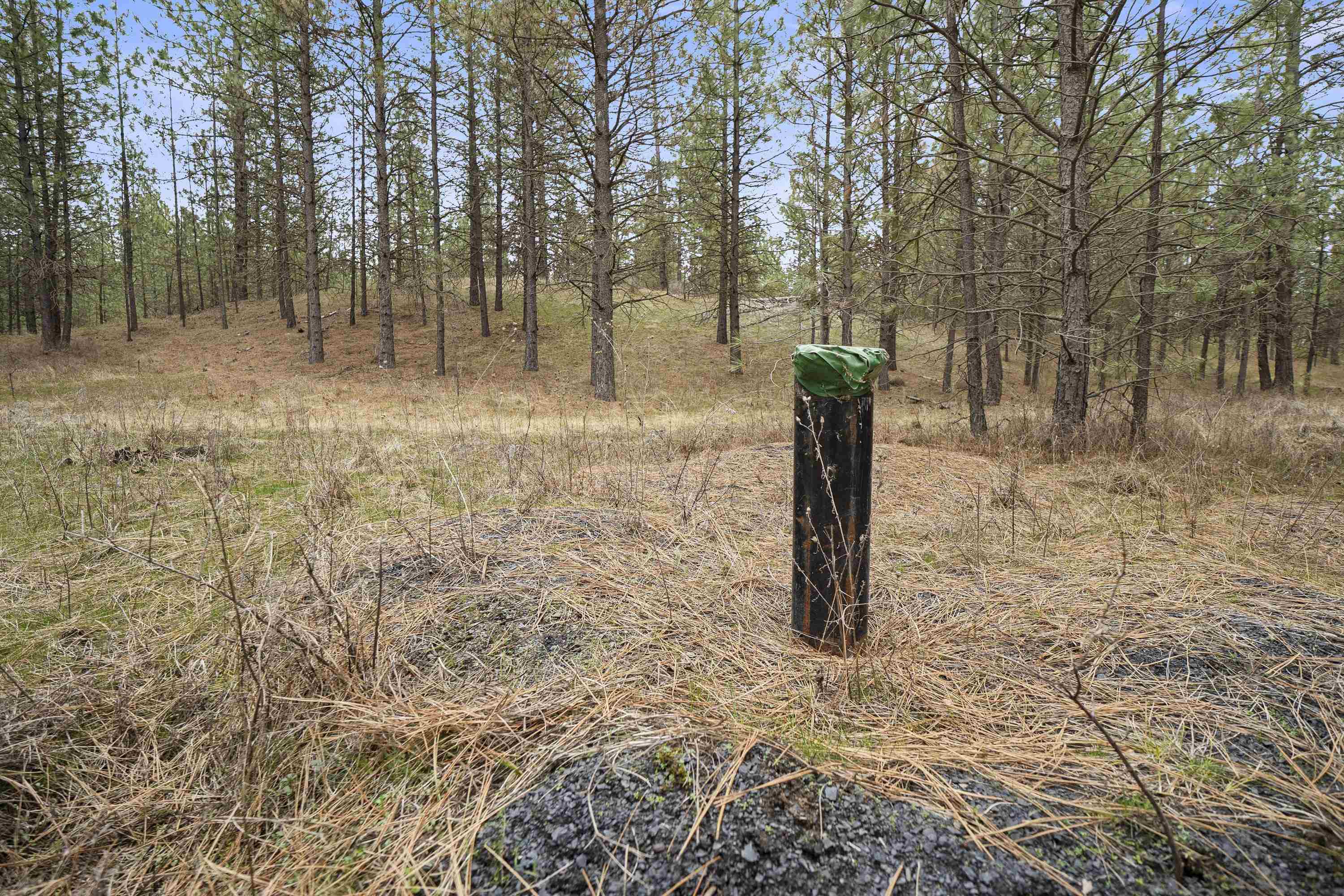 Xx Regina Lane Spokane, WA 99208 - Photo 8 of 35