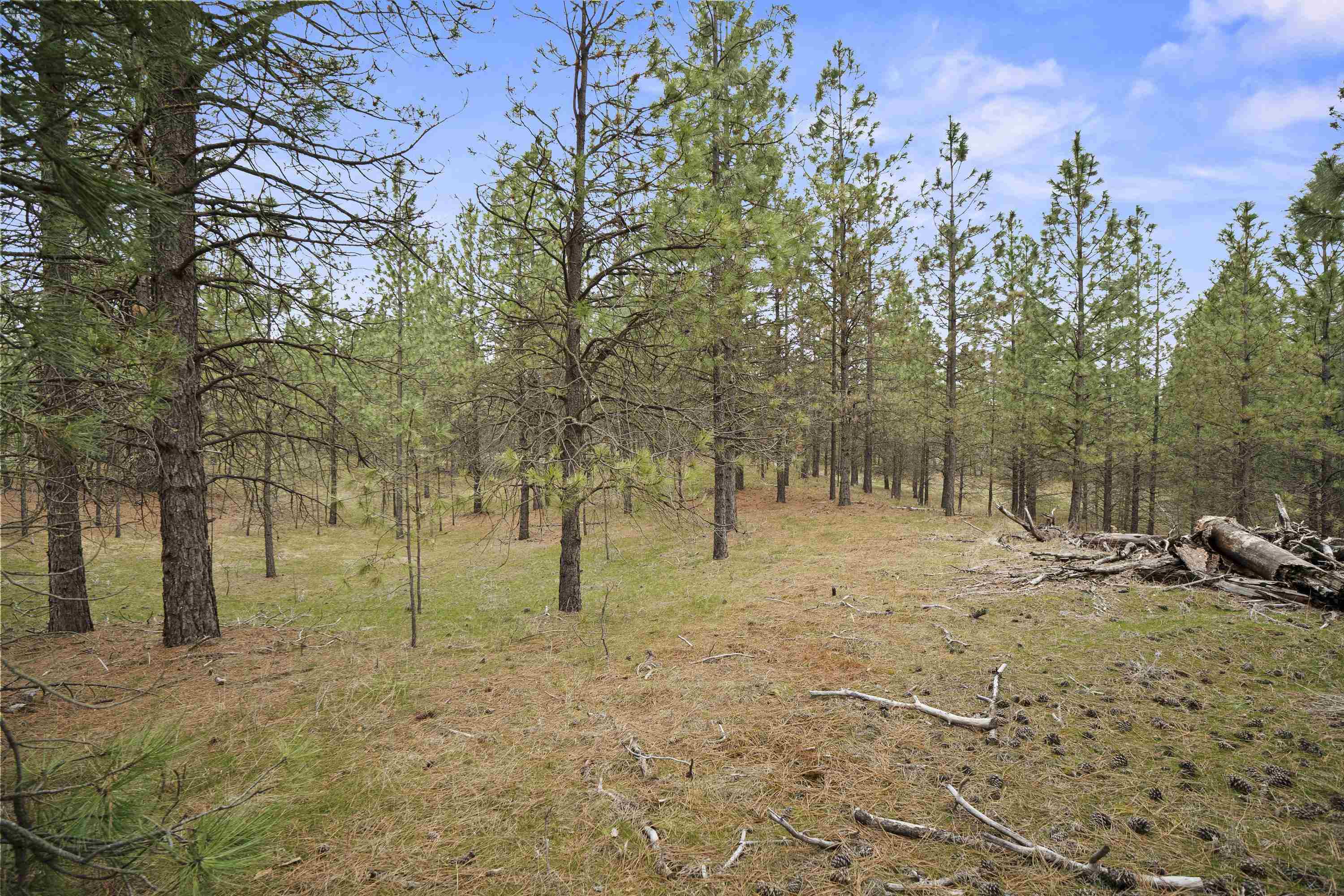 Xx Regina Lane Spokane, WA 99208 - Photo 9 of 35