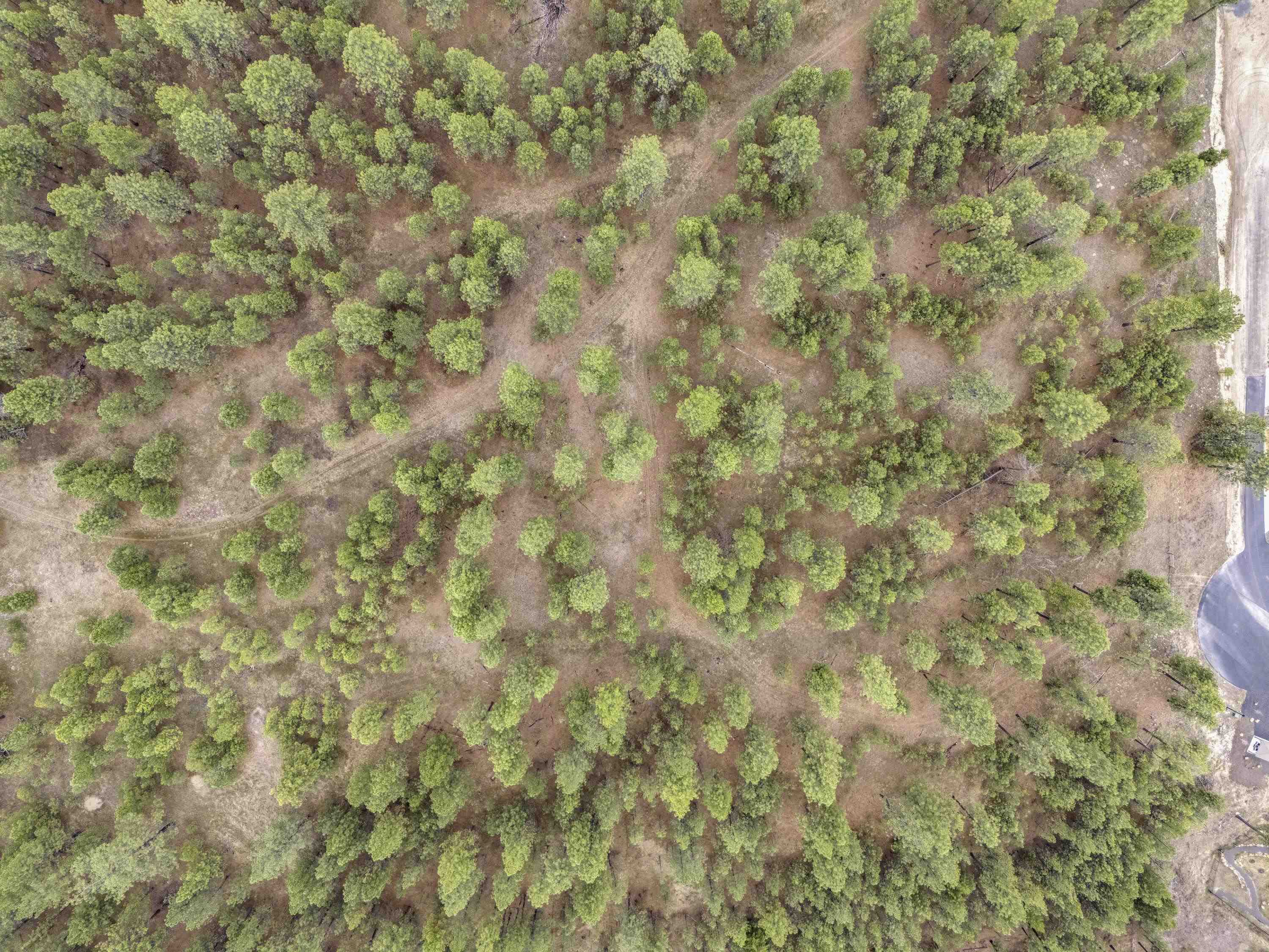 Xx Regina Lane Spokane, WA 99208 - Photo 10 of 35