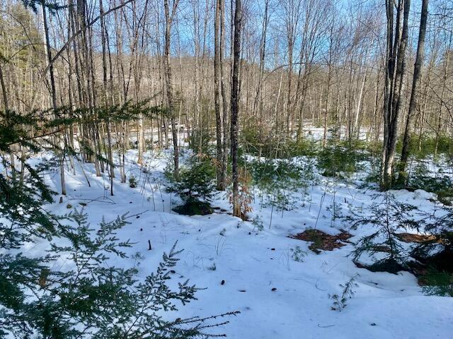 R7-45 Pendexter Road Parsonsfield, ME 04047 - Photo 5 of 8 IMG_9738