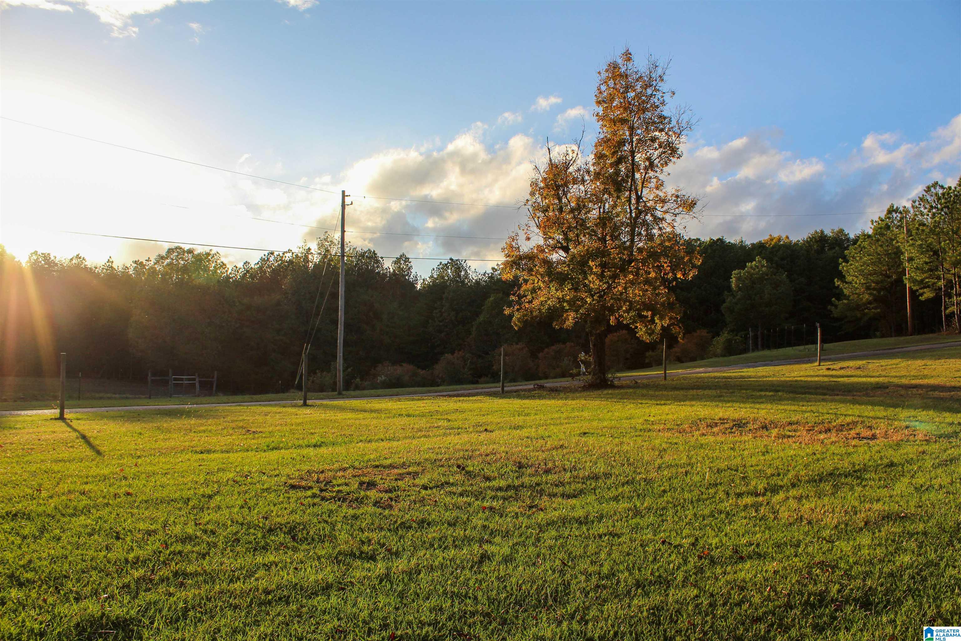 539 3rd Street Northwest Carbon Hill, AL 35549 - Photo 54 of 71