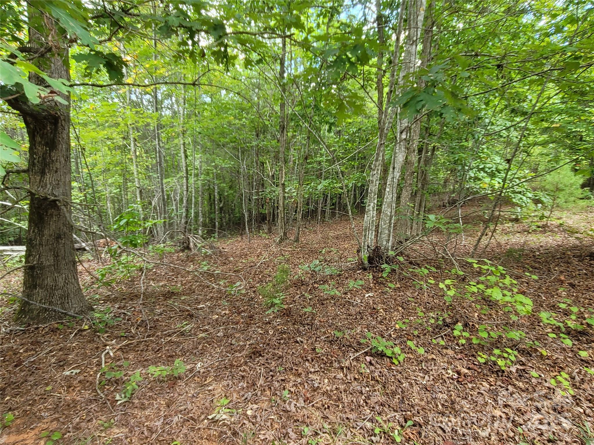 0 Big Level Road Mill Spring, NC 28756 - Photo 11 of 24 a backyard of a house with lots of green space