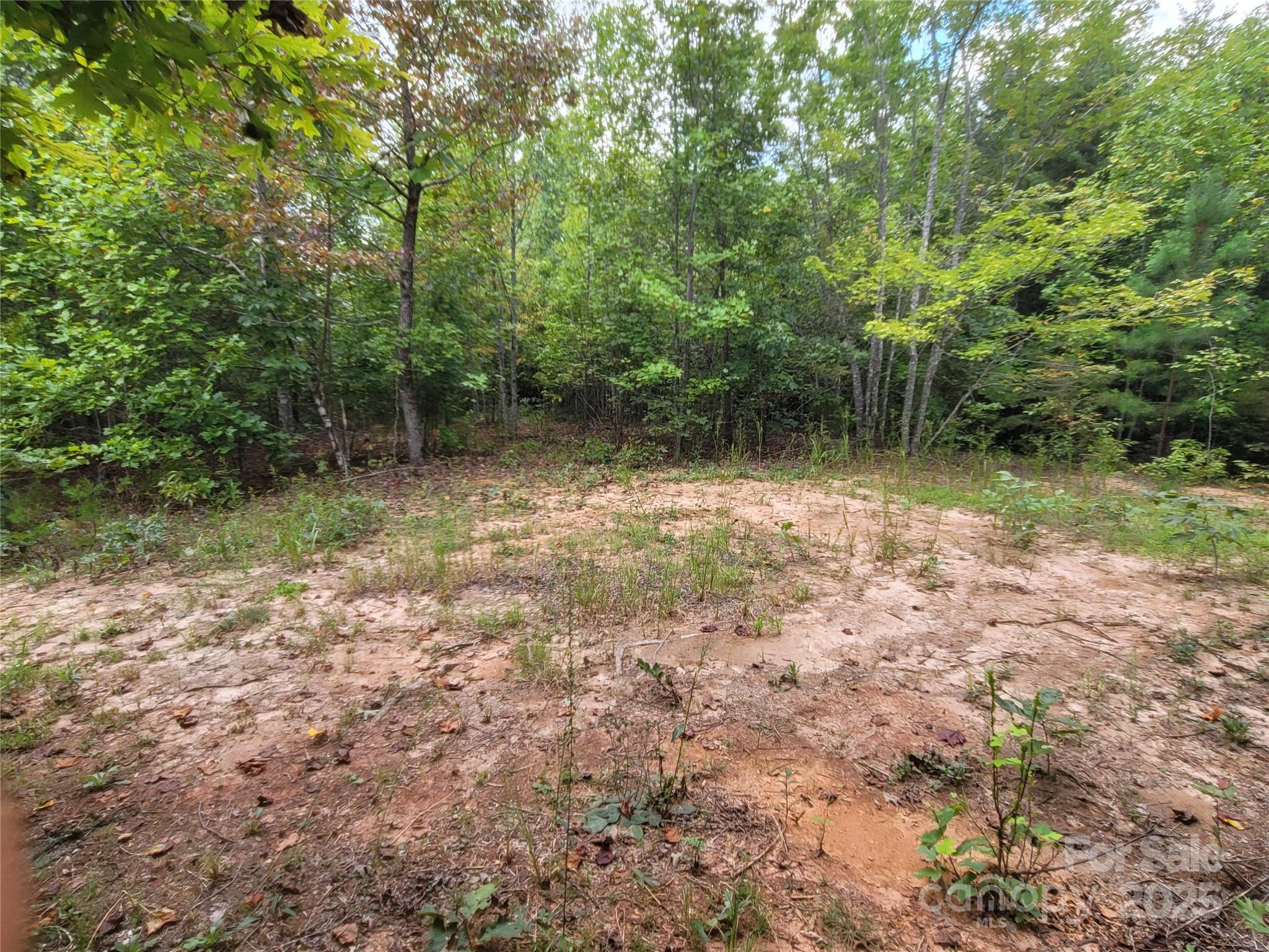 0 Big Level Road Mill Spring, NC 28756 - Photo 15 of 24 a view of outdoor space and a lake view