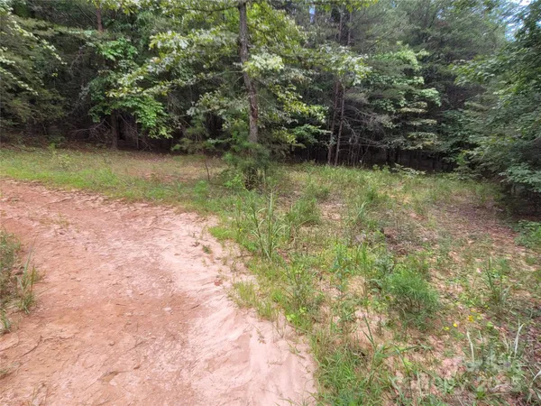 a view of a lake with a city