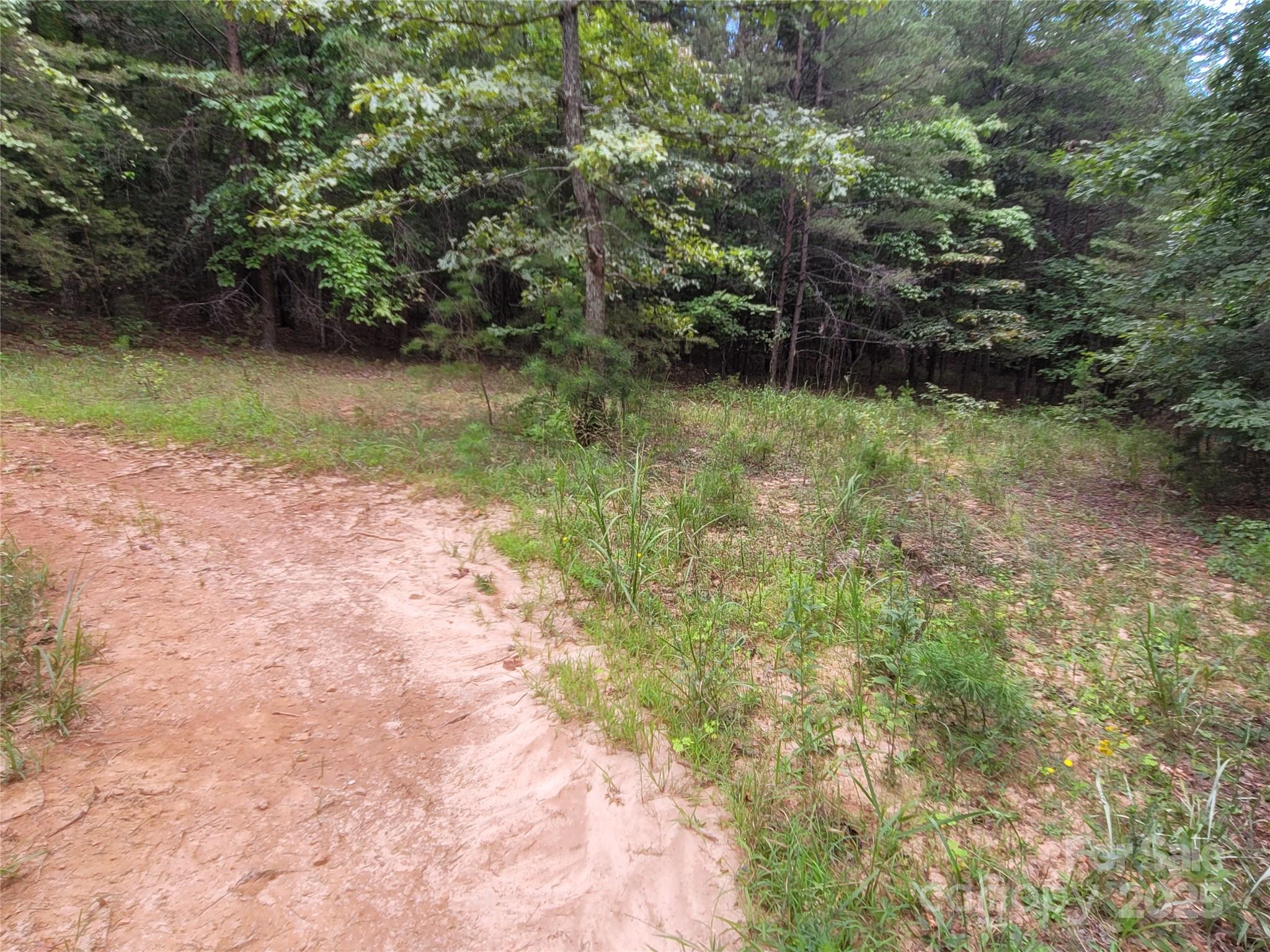 0 Big Level Road Mill Spring, NC 28756 - Photo 19 of 24 a view of a yard with plants and large trees