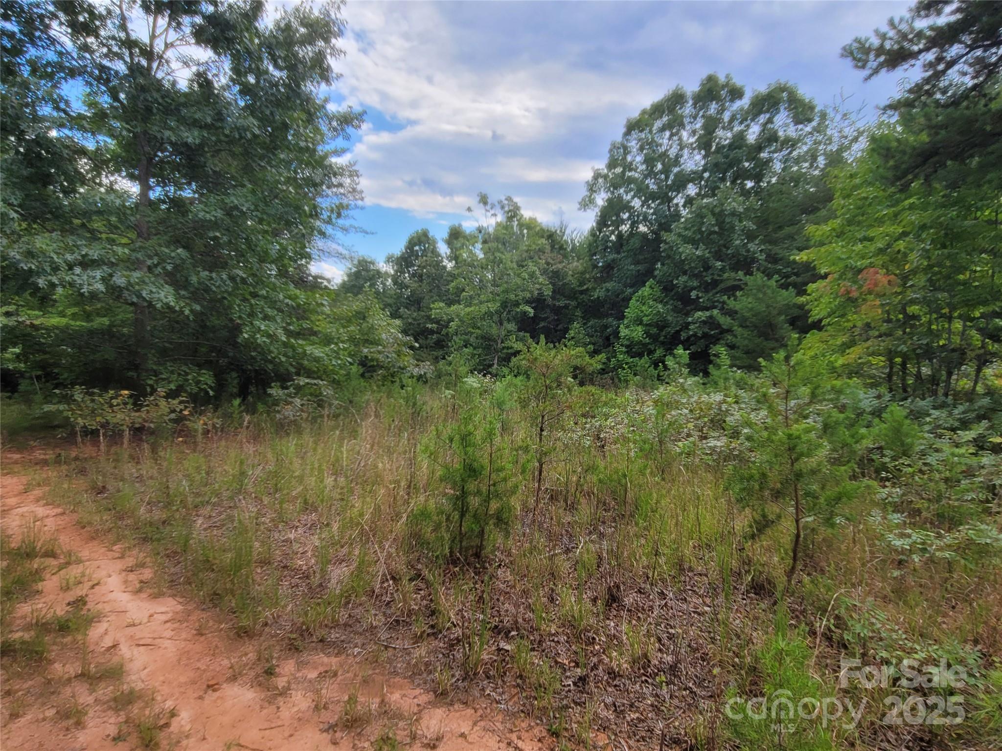 0 Big Level Road Mill Spring, NC 28756 - Photo 20 of 24 a view of a lake with a city