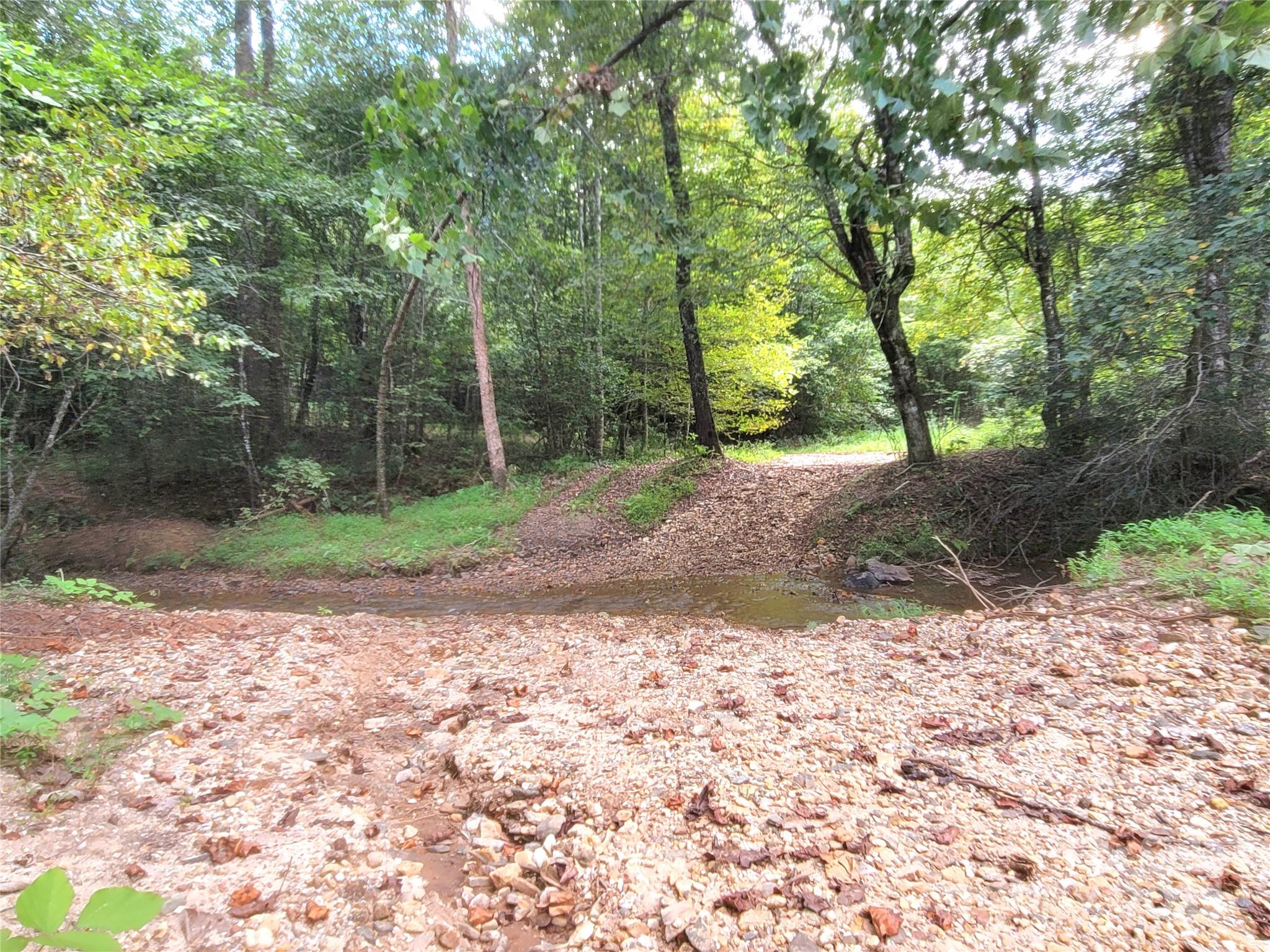 0 Big Level Road Mill Spring, NC 28756 - Photo 2 of 24 a view of a yard with plants and trees