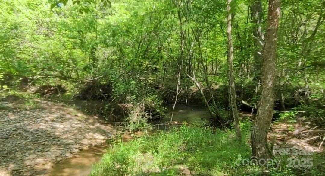 0 Big Level Road Mill Spring, NC 28756 - Photo 3 of 24 a view of a garden