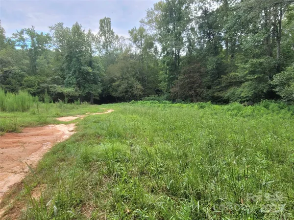 a view of a big yard with plants and a bench