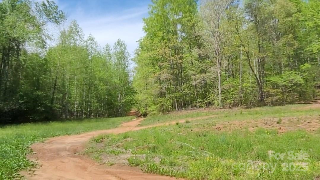 0 Big Level Road Mill Spring, NC 28756 - Photo 7 of 24 a view of outdoor space and yard