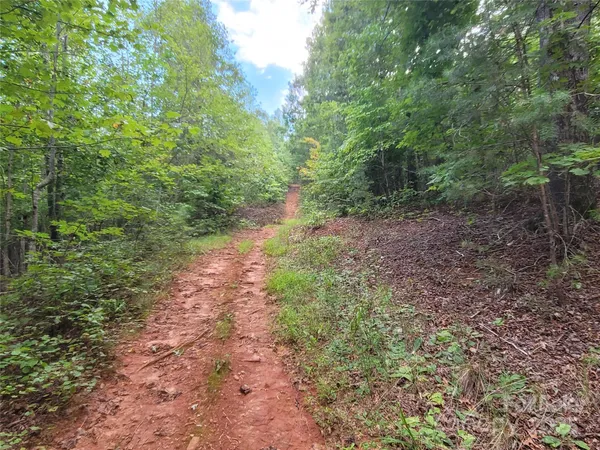 a view of a yard with a trees