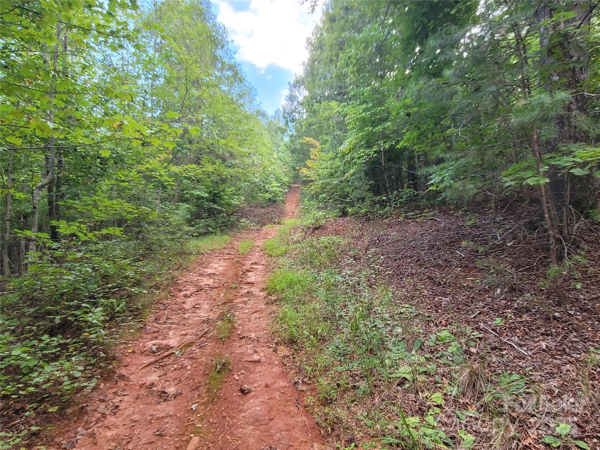 0 Big Level Road Mill Spring, NC 28756 - Photo 10 of 24 a view of a yard with a trees