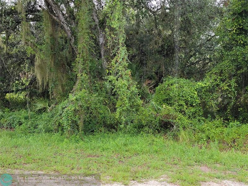 580 South Estribo St  