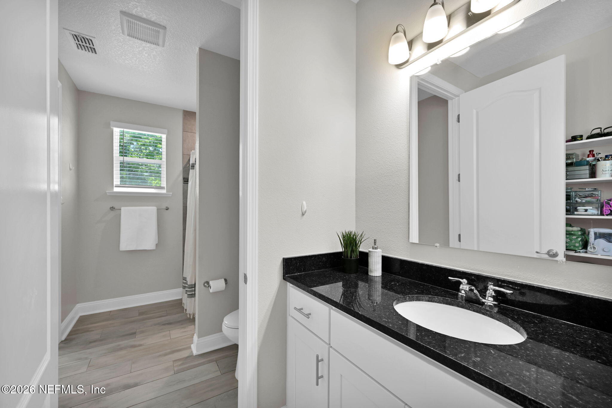 4050 Coyote Court Middleburg, FL 32068 - Photo 61 of 93 a bathroom with a granite countertop sink and a mirror