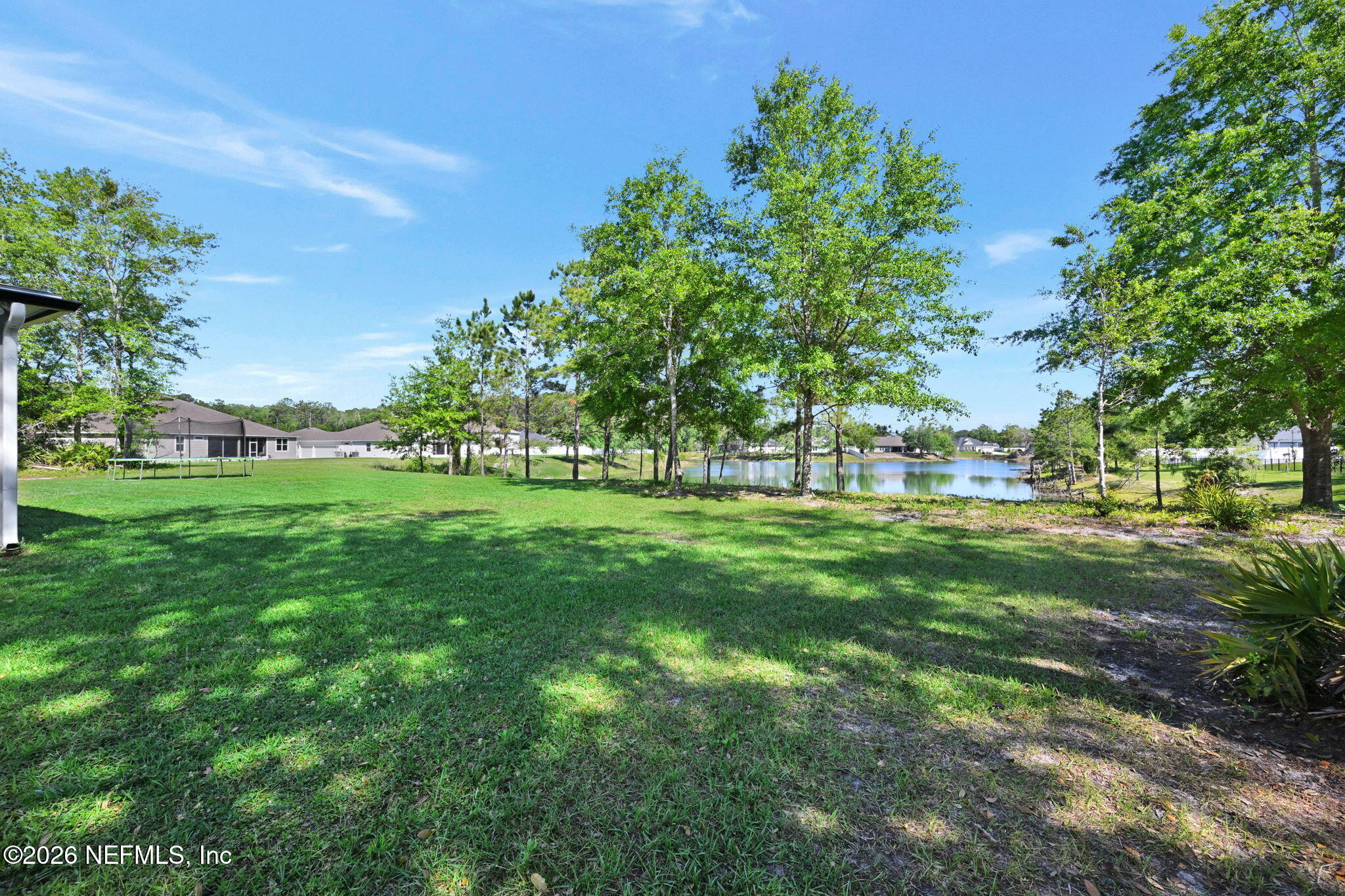 4050 Coyote Court Middleburg, FL 32068 - Photo 72 of 93 Back Yard