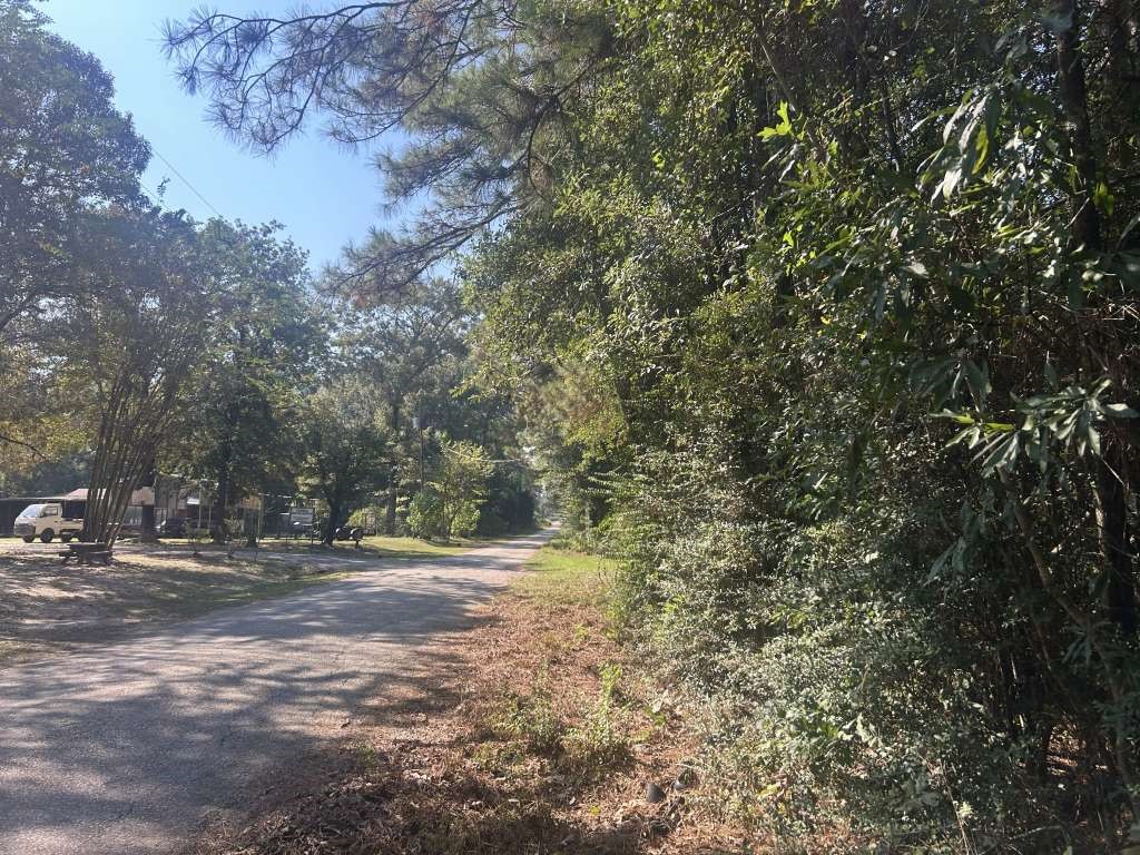 Lot 334 Powdrill Buna, TX 77612 - Photo 2 of 3 a view of dirt field with trees