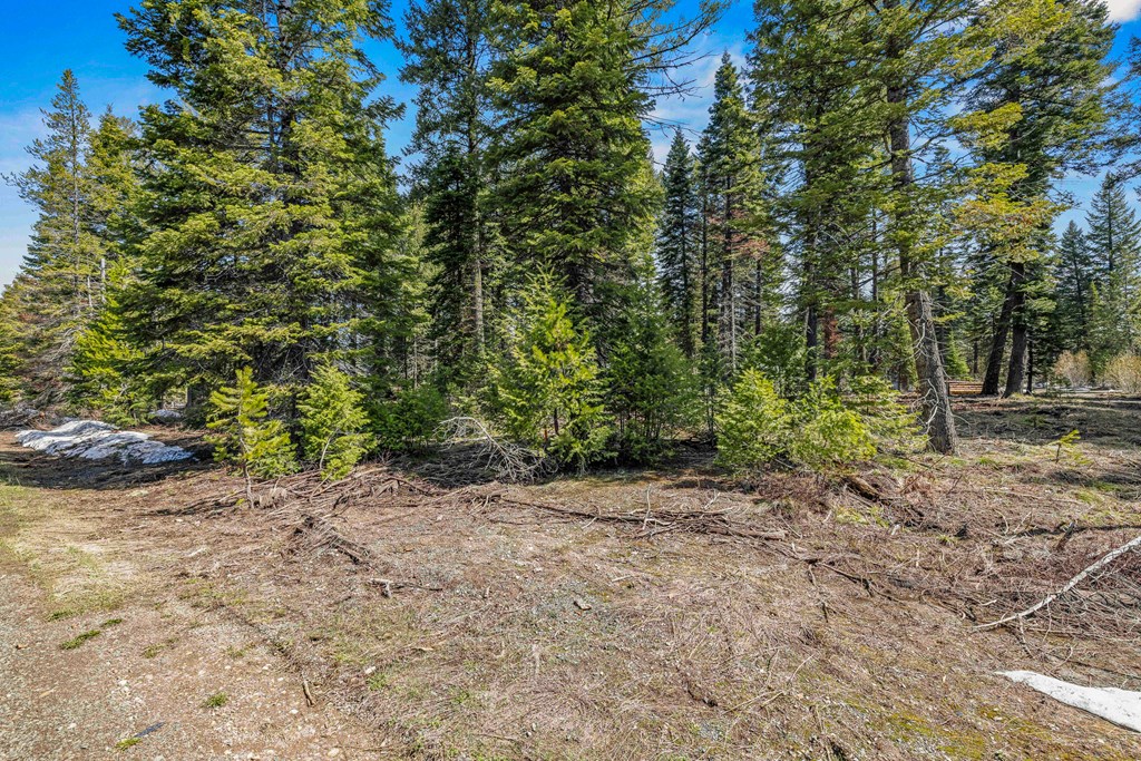 2144 Christie Road, Unit 8 Donnelly, ID 83615 - Photo 9 of 31