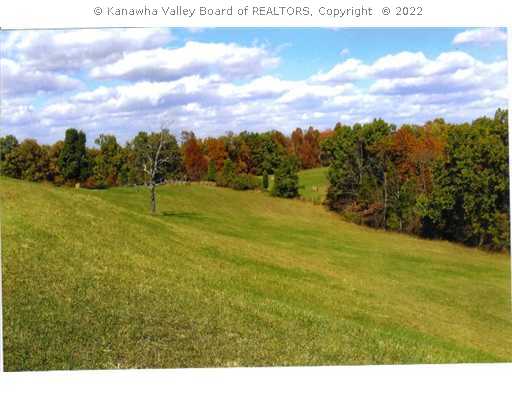 0 Angerona Road Evans, WV 25241 - Photo 6 of 8 Land.