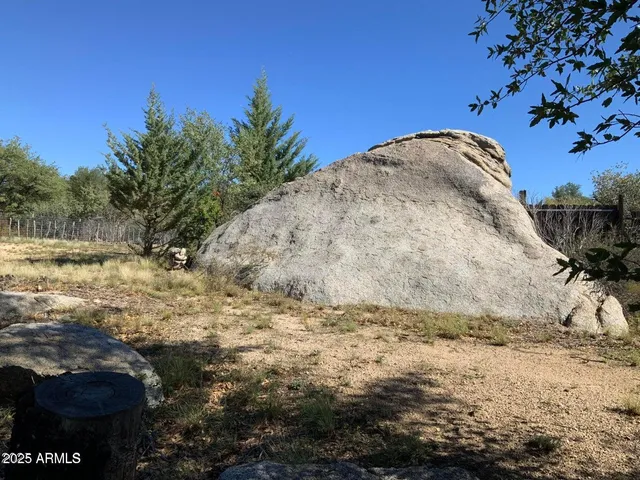 a view of a yard with a tree