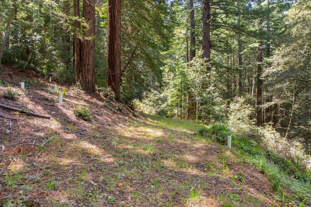 0 Native Sons Road Redwood City, CA 94062 - Photo 2 of 28