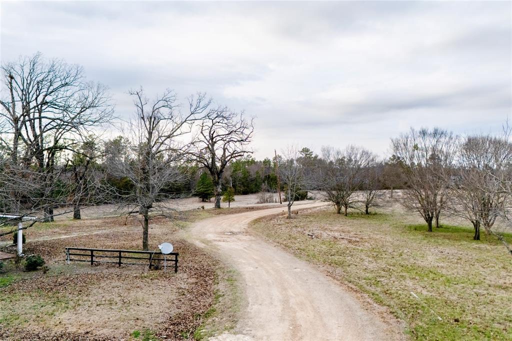 509 County Road 35985 Powderly, TX 75473 - Photo 2 of 37 a view of a outdoor space with trees