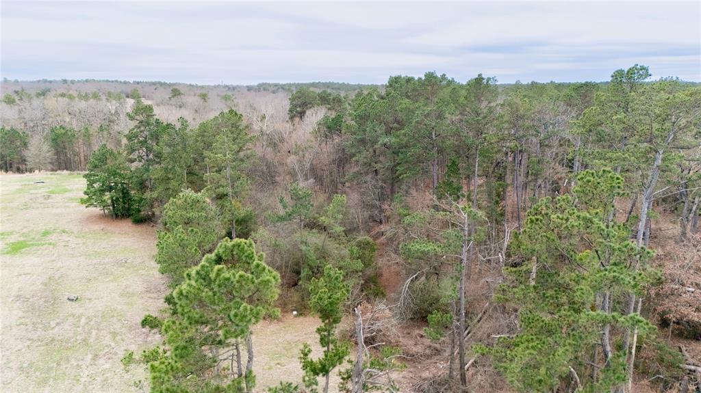 509 County Road 35985 Powderly, TX 75473 - Photo 23 of 37 a view of a lake with houses in the back