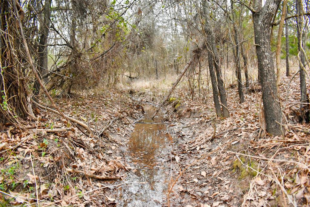 509 County Road 35985 Powderly, TX 75473 - Photo 29 of 37 a view of a yard with a trees