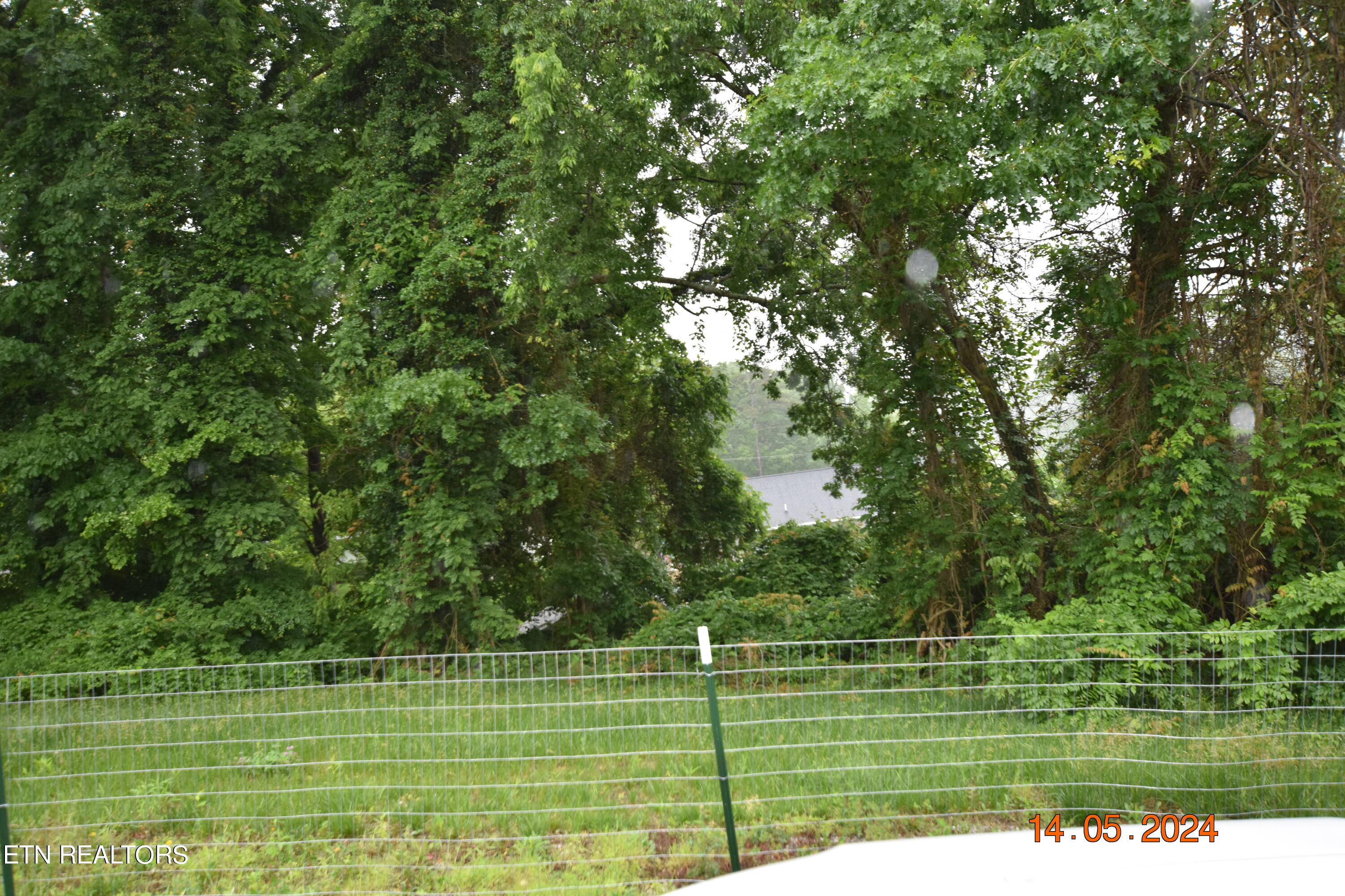 181 Pine Ridge Road Harriman, TN 37748 - Photo 3 of 4 DSC_0593