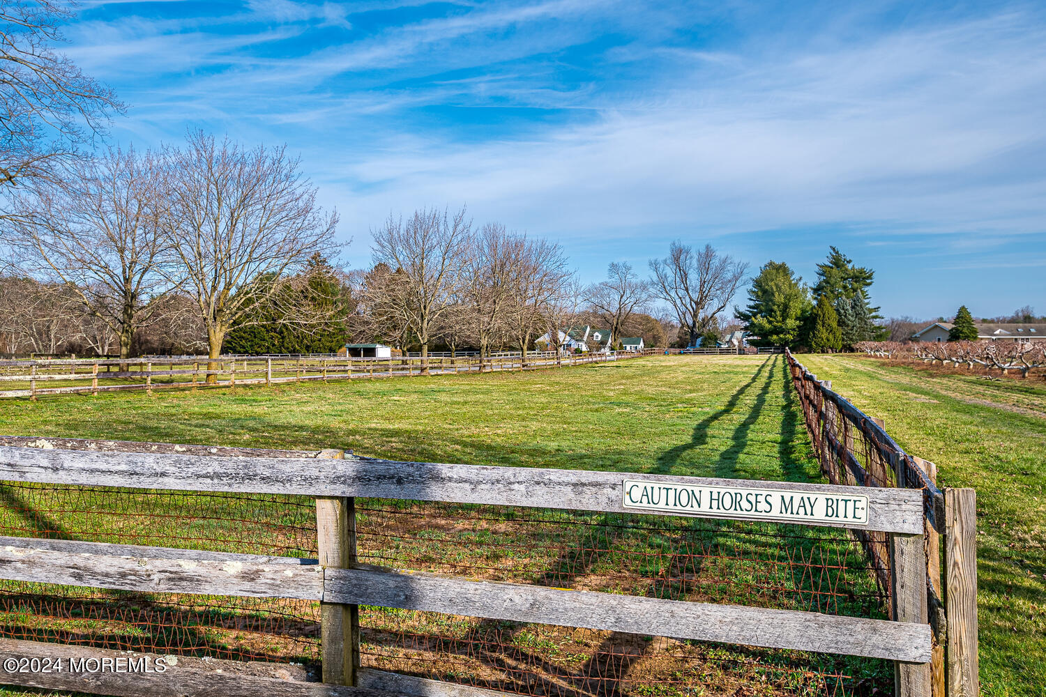 299 County Road 537 Colts Neck, NJ 07722 - Photo 51 of 62 East pasture